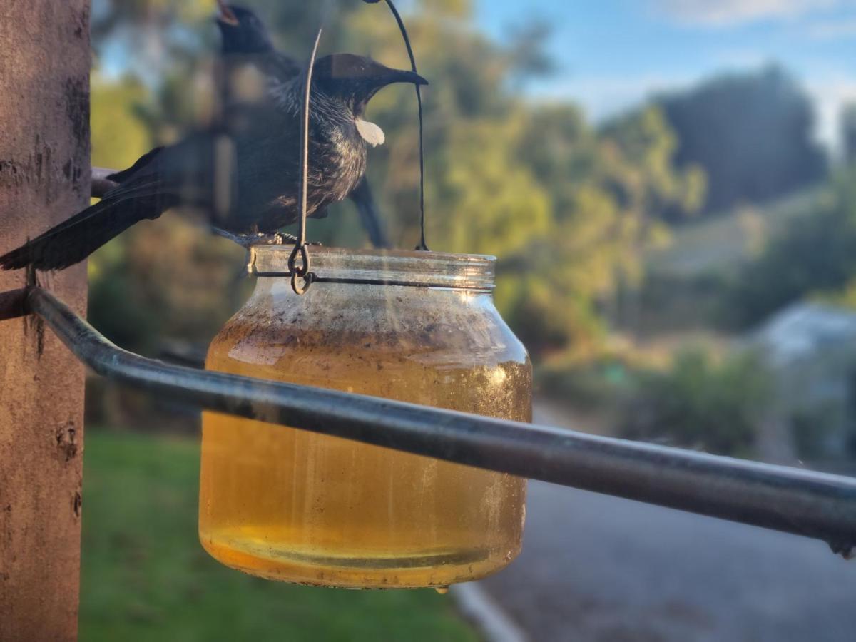 Catlins Lake Sanctuary Owaka Экстерьер фото